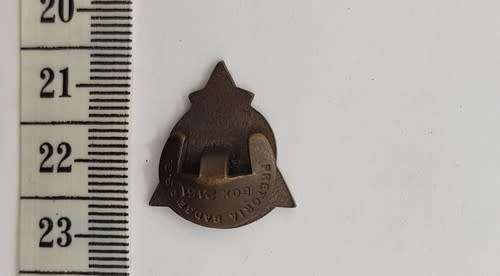 Venturer button hole badge - as per scan