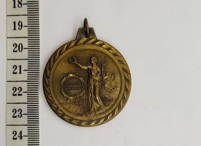 Merit Award medallion - as per scan