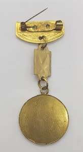 Iraq ` Mother of all battles` Medal - as per scan