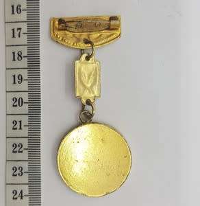 Iraq ` Mother of all battles` Medal - as per scan