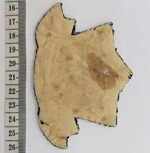 The Society of Master Mariners embroidered cloth badge - as per scan