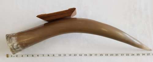 Large Bullhorn vase/ornament - enquire about postage - as per photo