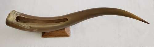 Large Bullhorn vase/ornament - enquire about postage - as per photo