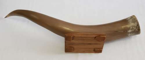 Large Bullhorn vase/ornament - enquire about postage - as per photo