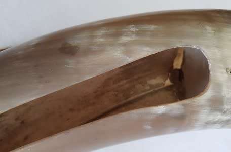 Large Bullhorn vase/ornament - enquire about postage - as per photo