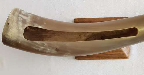 Large Bullhorn vase/ornament - enquire about postage - as per photo