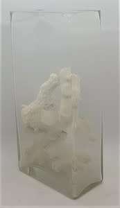 Glass vase with coral reef pieces - as per photo