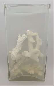 Glass vase with coral reef pieces - as per photo