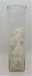 Glass vase with coral reef pieces - as per photo
