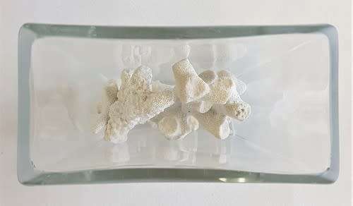 Glass vase with coral reef pieces - as per photo