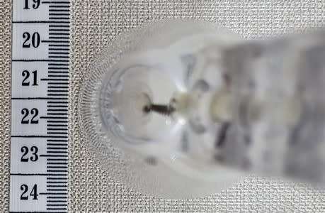Small glass bell - as per photo