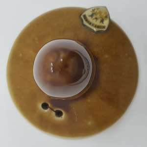 Clay Bell - as per photo