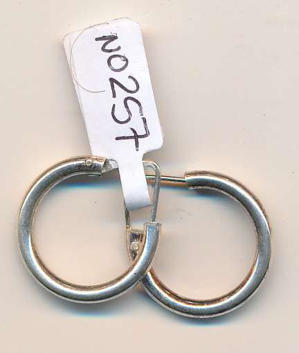 silver earrings as per scan