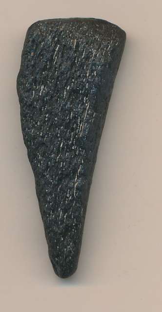 Fossilised shark tooth - @ CRAZY R1 start