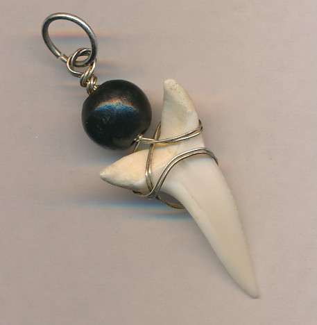 REAL Shark tooth pendant R1 AUCTION