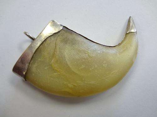 Lion's claw pendant set in silver - as per scan
