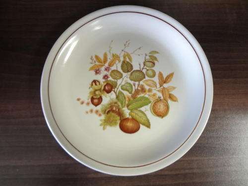 Drostdy Stonecraft autumn design dinner plate - 23cm - as per photo