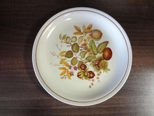 Drostdy Stonecraft autumn design dinner plate - 23cm - as per photo