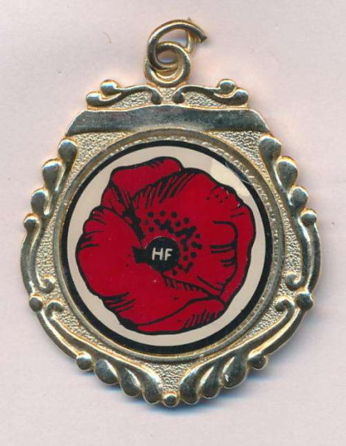 HF medallion - as per scan