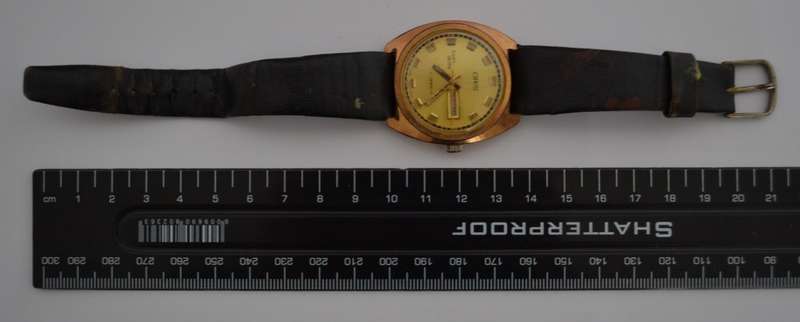 Oris Twin Date 17 Jewels Wrist Watch, Working as per photo