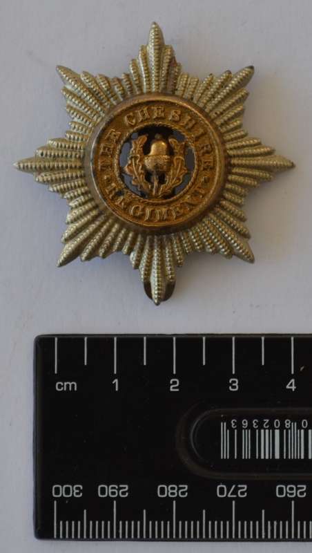 Cheshire regiment badge as per photo