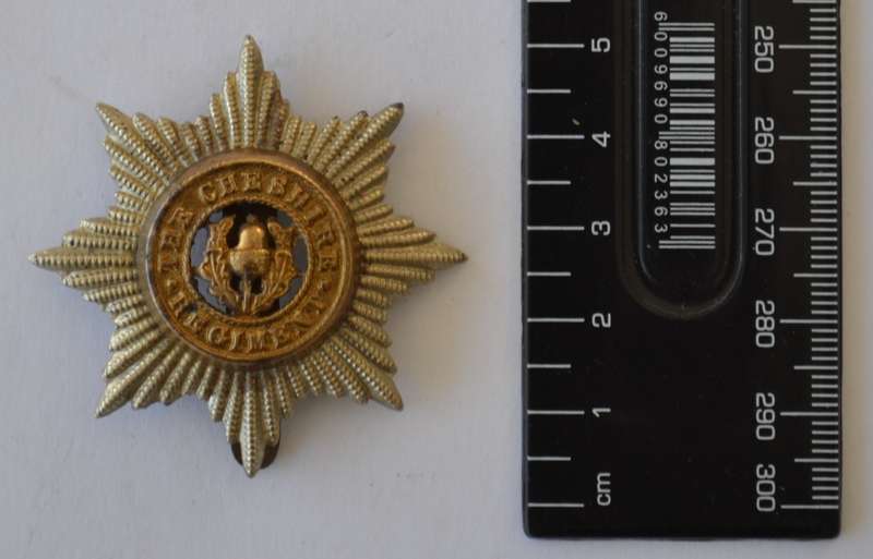 Cheshire regiment badge as per photo