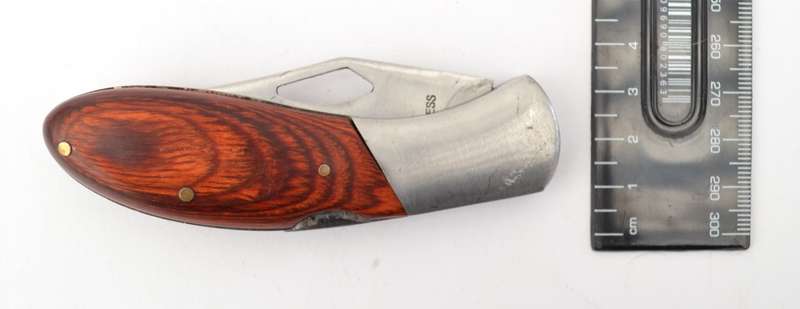 Stainless Steel Knife with wood handle as per photo