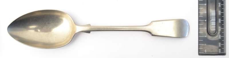 EPNS Serving Spoon as per photo