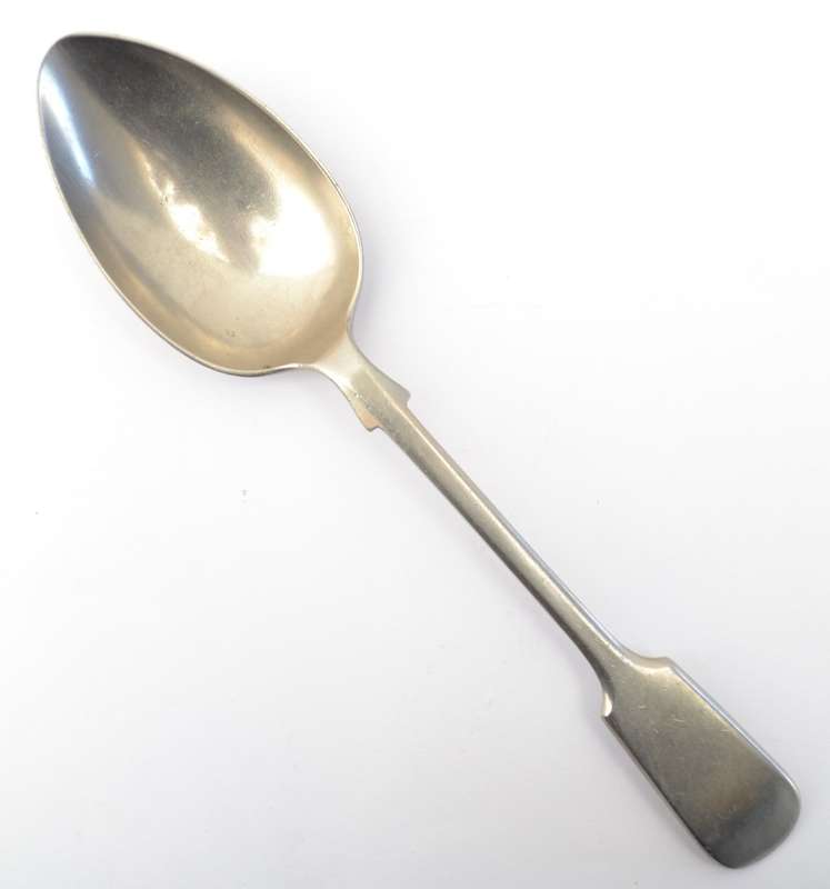 EPNS Serving Spoon as per photo