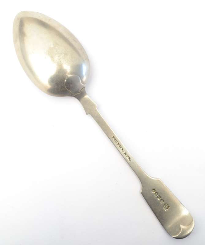 EPNS Serving Spoon as per photo