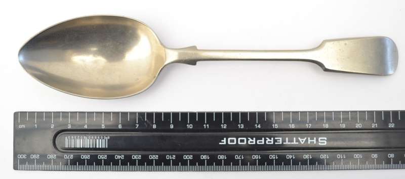 EPNS Serving Spoon as per photo