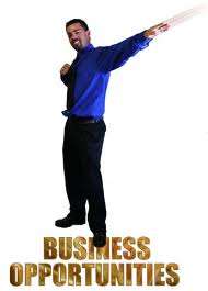 Professional Home Business Opportunities