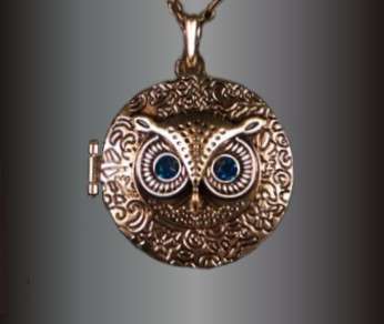 Owl Locket Necklace