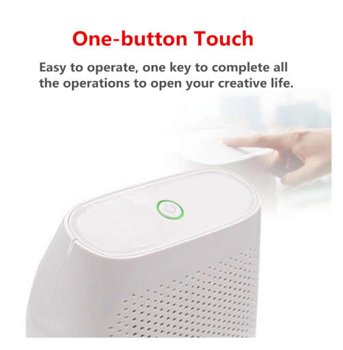 Dehumidifier (Moisture absorber)