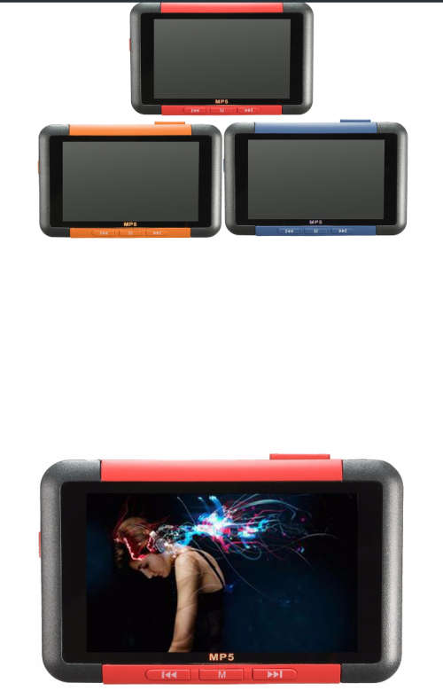 MP3 PLAYER (plays mp5, mp3, video, fm)