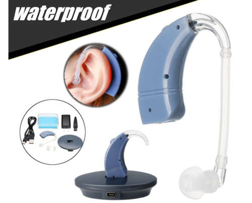 Hearing Aid