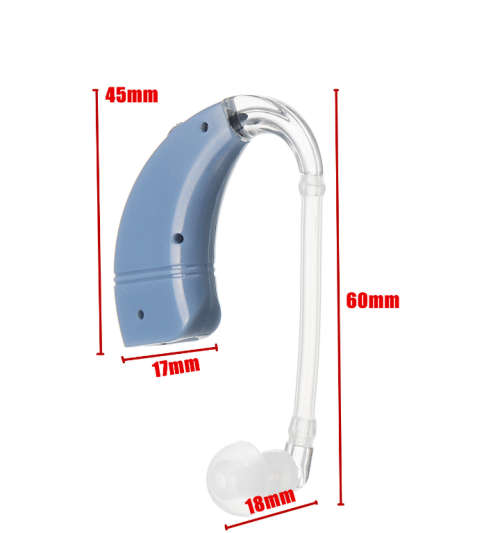 Hearing Aid