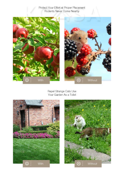 Ultrasonic Animal Repeller