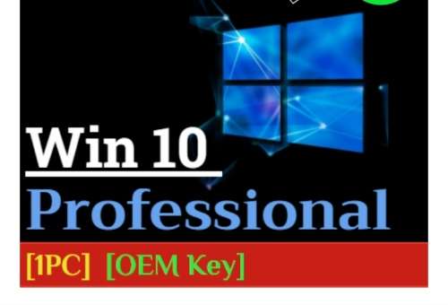 Win 10 Pro [1 PC] [OEM Key