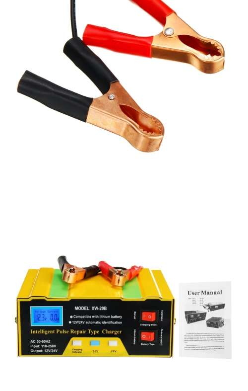 Intelligent Pulse Repair Charger