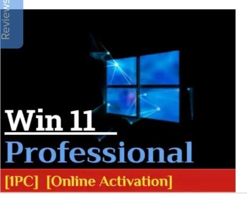 Windows 11 Pro [1 PC][Online activate]