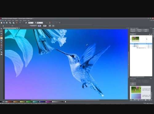 MAGIX Xara Photo and Graphic Designer Official Website Key GLOBAL