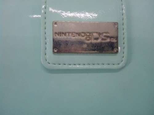 Nintendo DS Carry Case