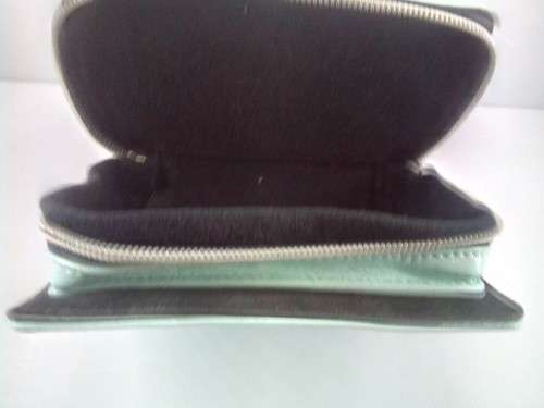 Nintendo DS Carry Case