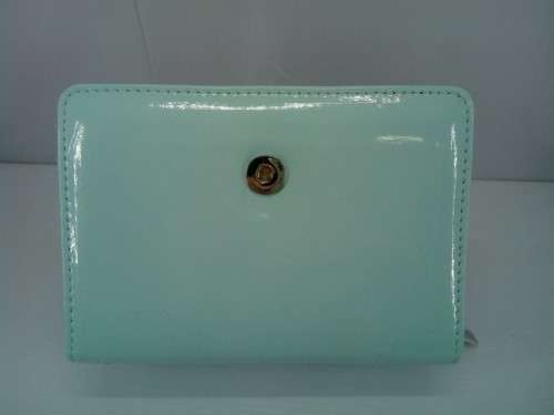 Nintendo DS Carry Case