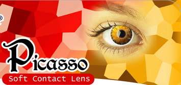 Picasso - fassion lenses 3 tone with mesmirising patterning + free lense holder