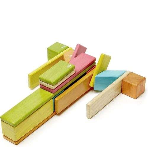24-Piece Set Magnetic Wooden Blocks Tegu Classics