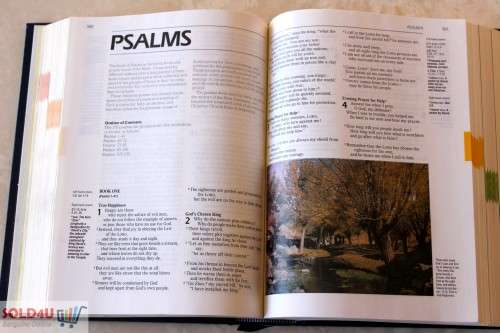 Good News Bible Family Edition in full colour - Bible Society