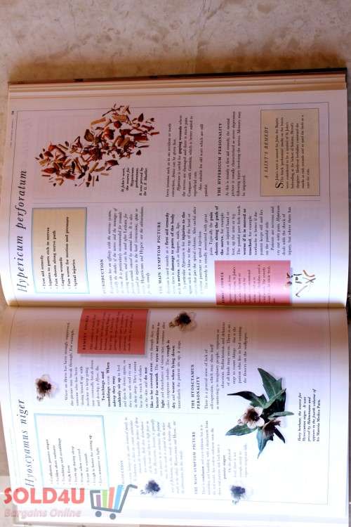 The Complete Family Guide to Homeopathy: An Illustrated Encyclopedia of Safe and Effective Remedies