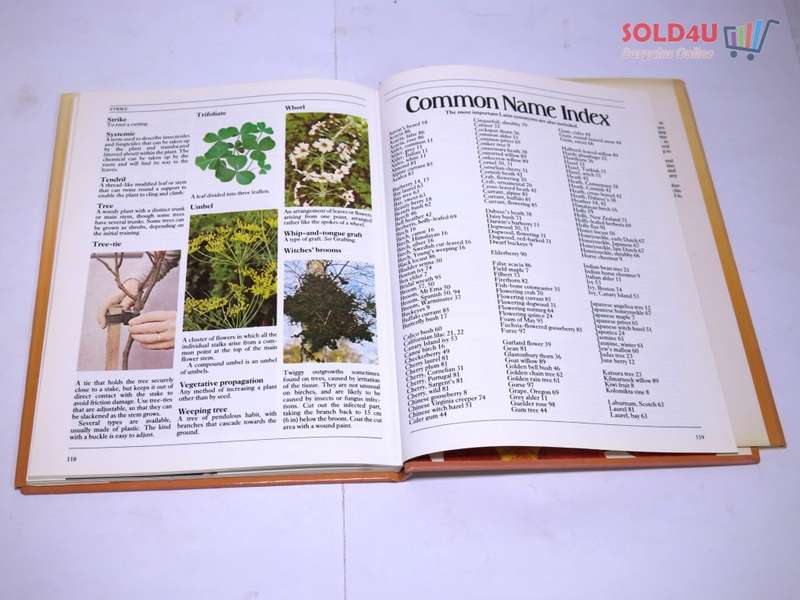 Colour Dictionary of Trees and Shrubs by Peter McHoy